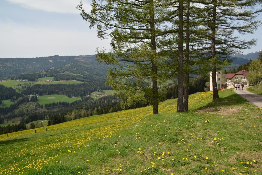 Gaestepension Edeltraud Hotel Hirschegg  ภายนอก รูปภาพ