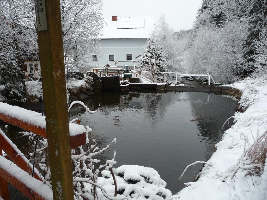 Gaestepension Edeltraud Hotel Hirschegg  ภายนอก รูปภาพ